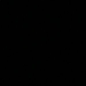 Meet your Posher, Jazmine